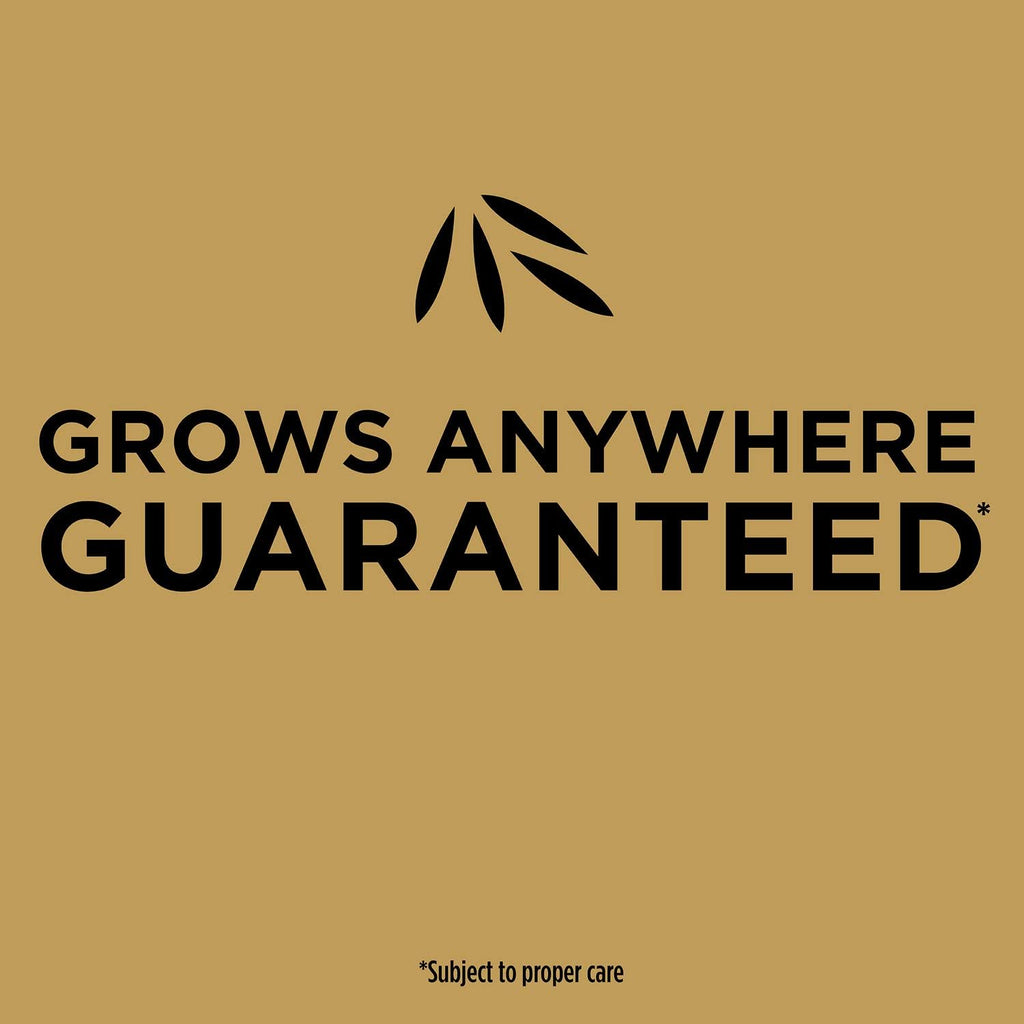 Scotts EZ Seed Patch & Repair Tall Fescue Lawns, 10 lbs.