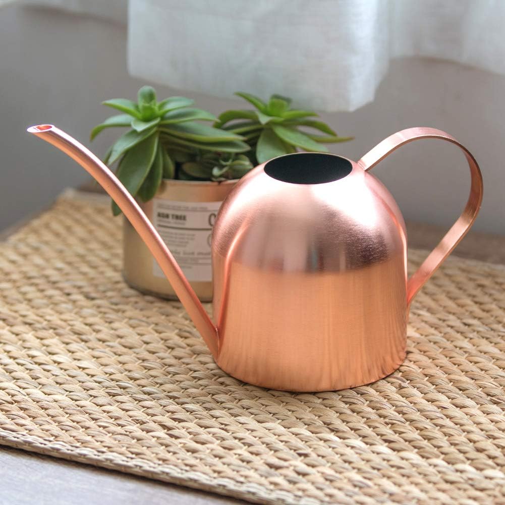 Rose Gold Watering Can for Indoor Plants, 450ml/15oz | Rose gold finish adds style while the long spout waters roots