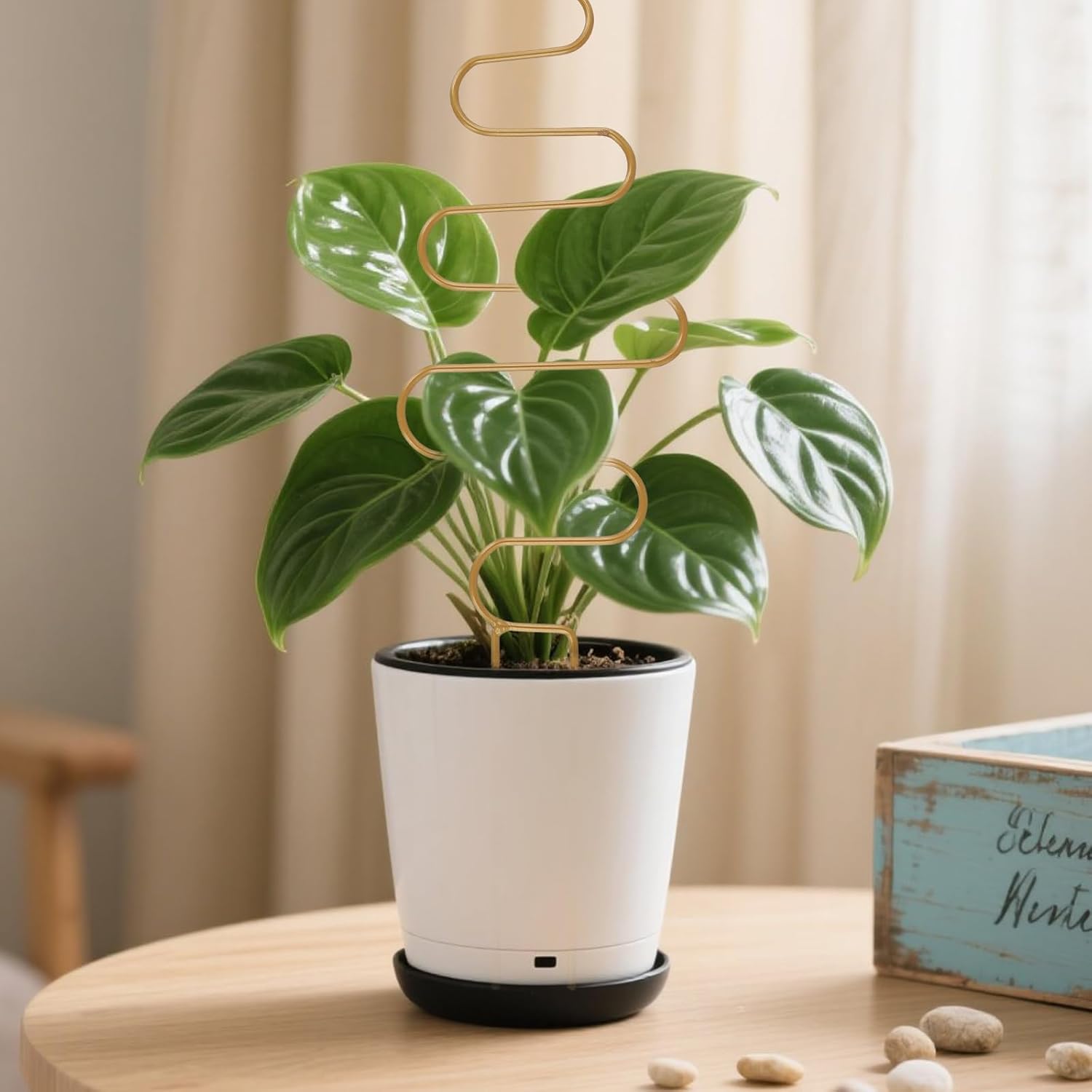 12 Pack Gold Plant Trellis for Potted Plant Indoor, Small Metal Trellis with 4 Different Patterns, Climbing Plant