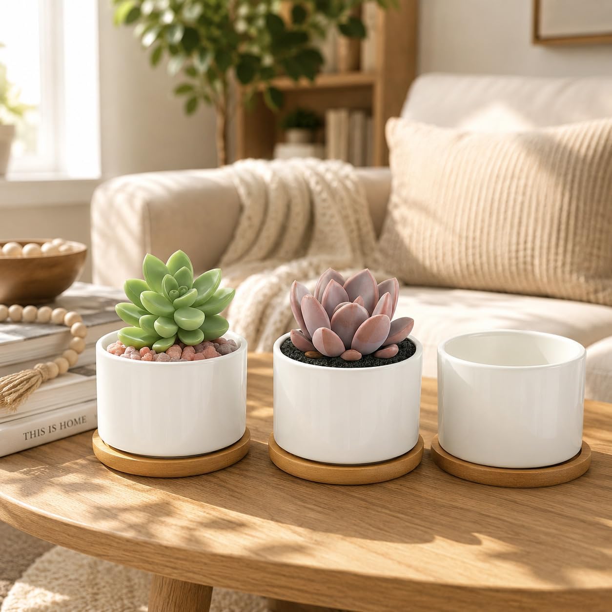 ZOUTOG Ceramic Succulent Pots 8 Pack,3.6 Inch Plant Pots,Succulent Planters with Drainage Hole & Bamboo Tray for Indoor