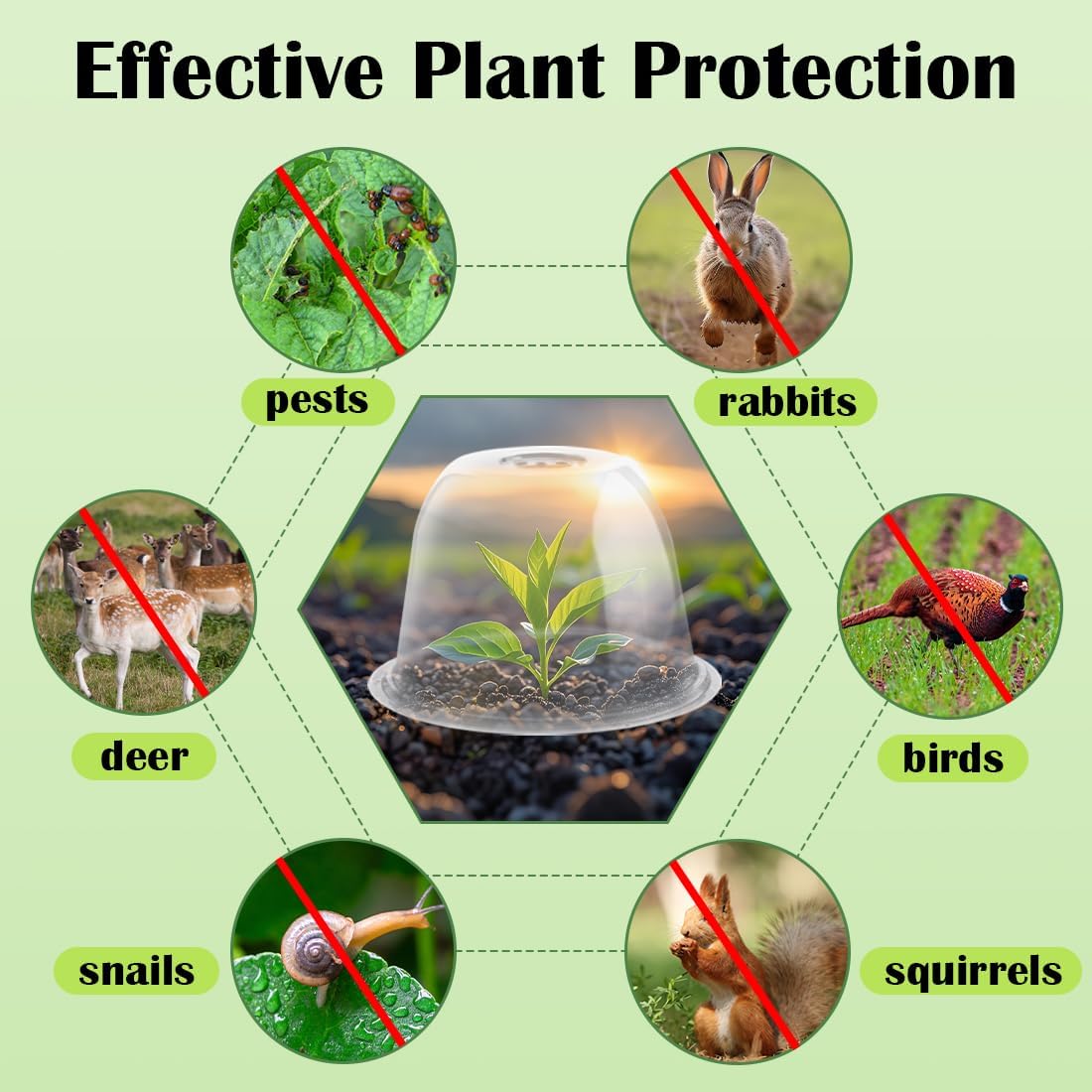 10" D × 6.7" H Plant Protectors from Animals, Garden Cloches for Seedlings Nursery Pots, Durable Humidity Domes with