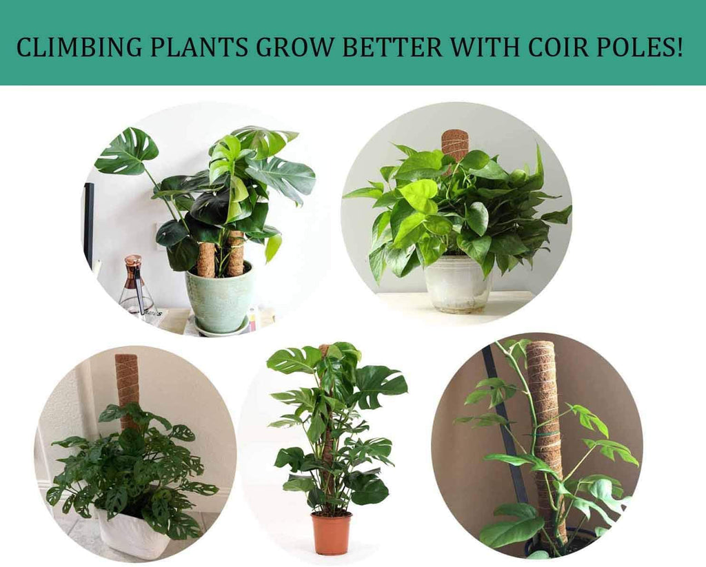 Moss Pole, 2 Pack 17.7 Inch Coir Totem Pole for Climbing Indoor Plants Creepers, with 15pcs Plant Labels