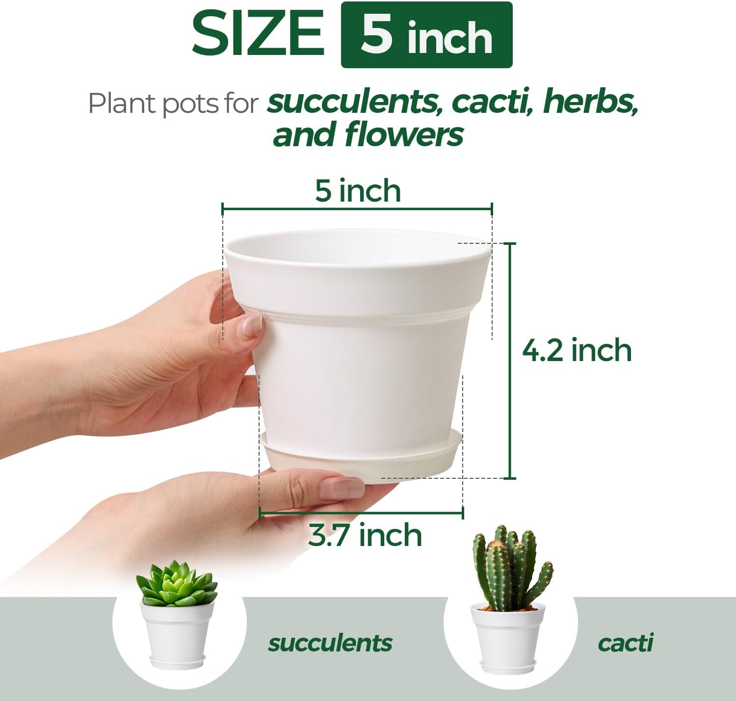 T4U Small Plant Pots 5 Inch 18 Pack, Plastic Flower Pots with Saucer White | Nursery containers for succulents cactus