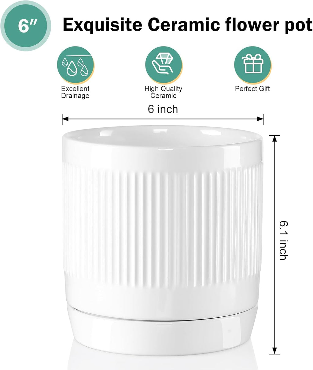 Vanavazon 6 Inch Glazed Ceramic Plant Pots with Drainage Hole and Saucer, Cylinder Indoor Planters for All House