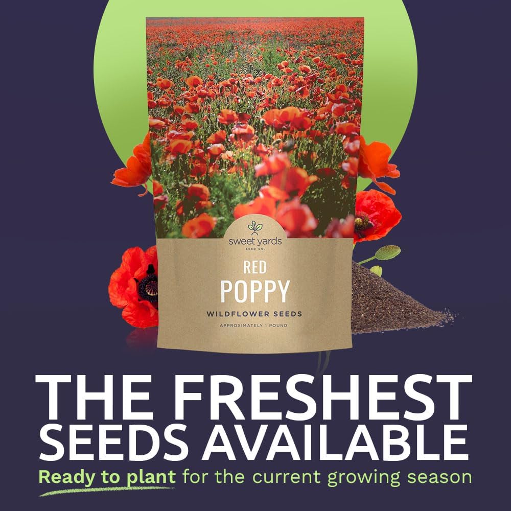 Red Poppy Seeds for Planting - Bulk 1 Pound Bag - Over 3,200,000 Wildflower Seeds