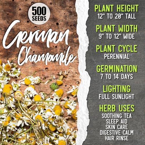 Seed Needs Medicinal Herb Seeds Variety Pack of 6 Tea & Infusion Collection