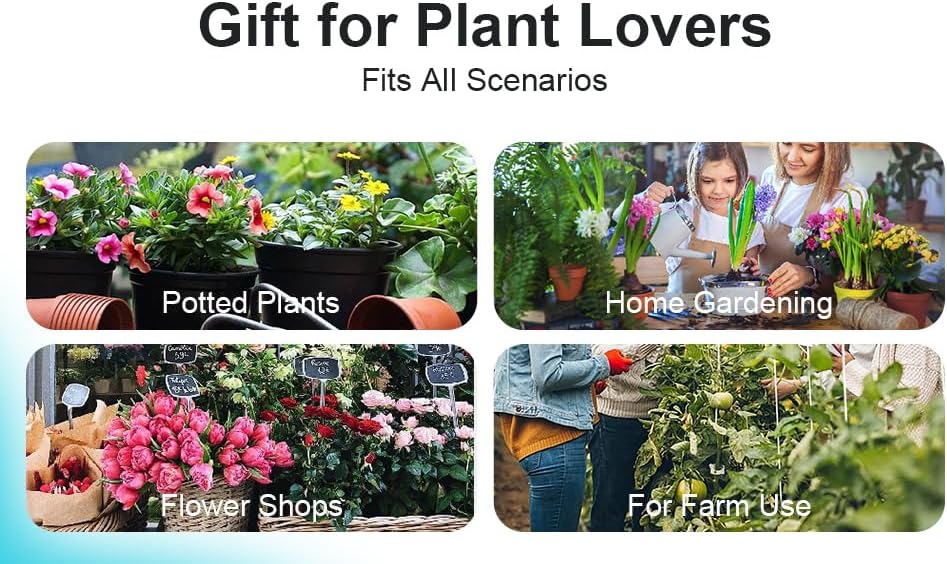 20PCS Plant Stem Supports for Monstera, 4 Sizes for Indoor Plants