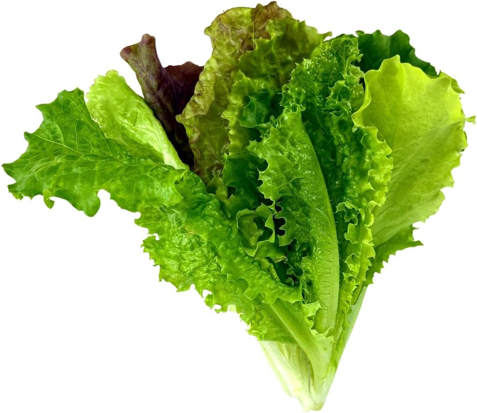 Farmers Bundle: Ready-to-Plant Seedlings, Starts, Plugs, Garden-Ready, Live Plants, Transplants, Pre-sprouted, for Soil