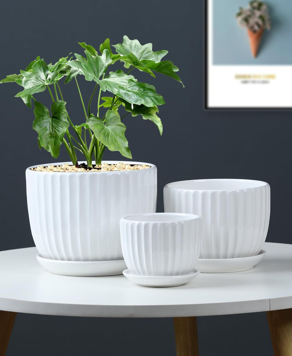 White Plant Pots,Ceramic Flower Pot Set of 3 with Drainage Holes & Saucers | Ceramic Planters for Indoor Plants
