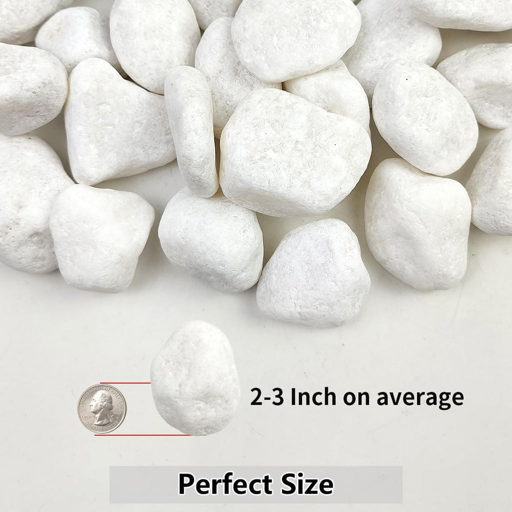 20lb White River Rocks for Landscaping, 2-3 Inch Natural Pebbles for Indoor Plants, Snow White Decorative Stones, Ideal