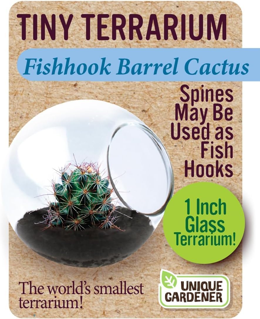 Tiny Terrarium Plant Seeds 6 Variety Cacti Pack, DIY Indoor Succulents and Live Plants for Home or Garden Planting