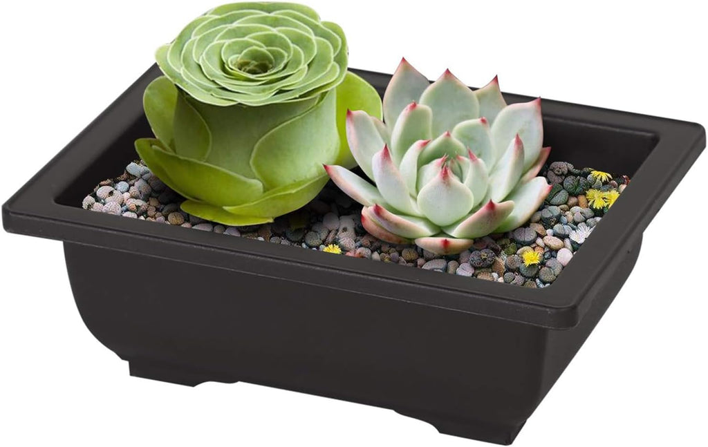 MANCHAP 20 PCS 8.9 Inch Plastic Bonsai Training Pots, Rectangular Bonsai Tree Planter Pot for Garden, Yard, Office