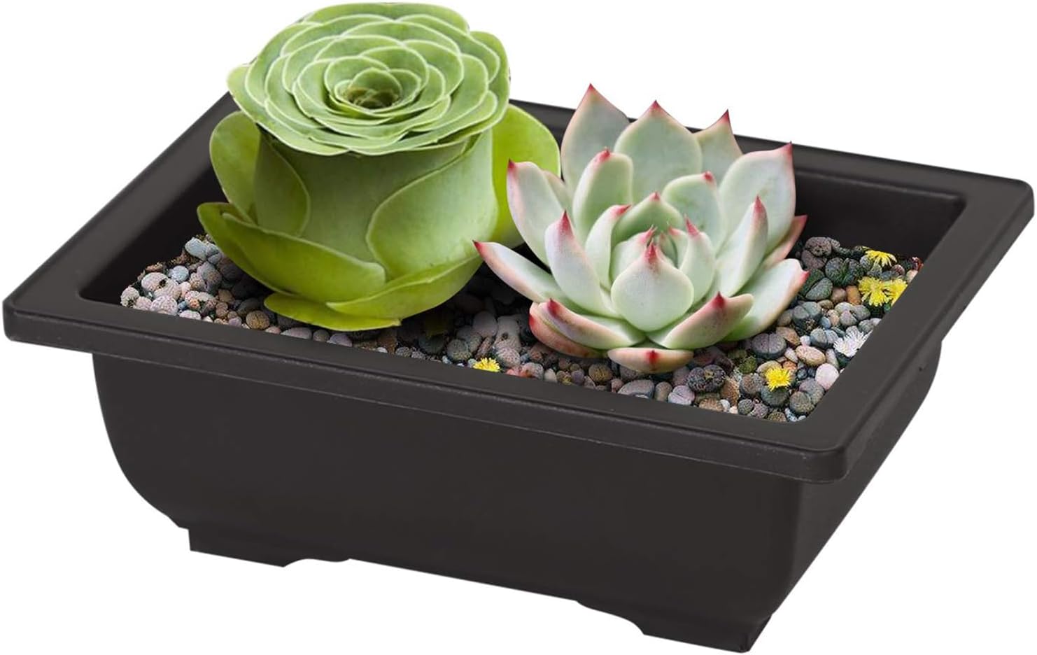 MANCHAP 20 PCS 8.9 Inch Plastic Bonsai Training Pots, Rectangular Bonsai Tree Planter Pot for Garden, Yard, Office