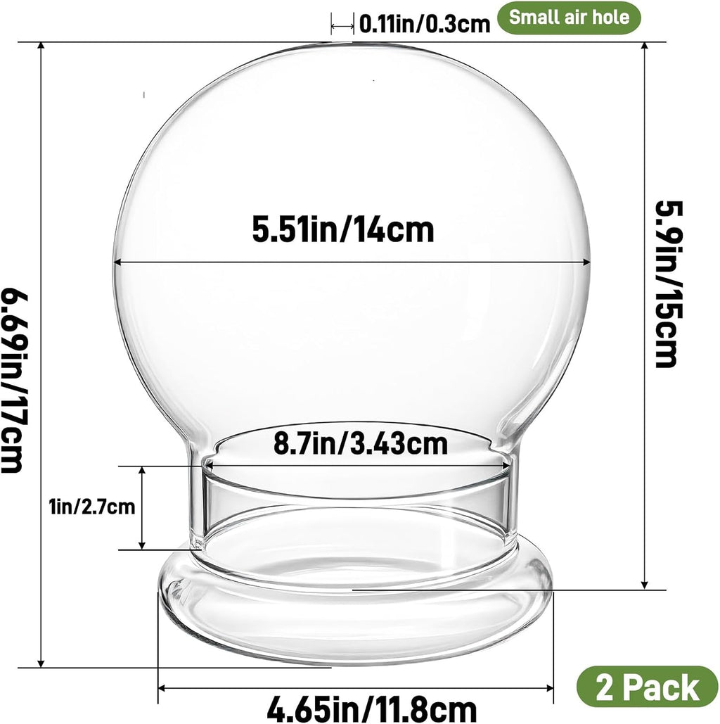 2 Pack Round Glass Cloche Domes with Air Hole and Base, 4.6 X 6.6 Inches Clear Terrarium Planter, Cloche Planters