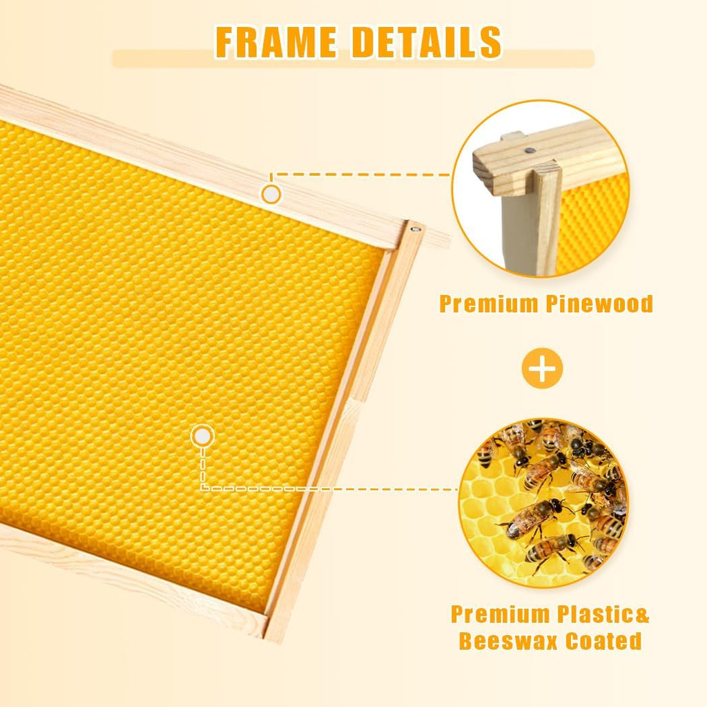 POLLIBEE 10 Pack Beehive Frames with Wax Dipped Plastic Foundations, Deep Brood Box Bee Frames 9-1/8 Inch for