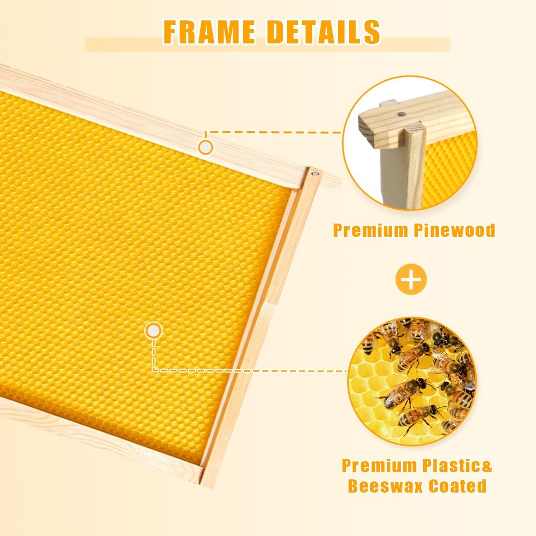 POLLIBEE 10 Pack Beehive Frames with Wax Dipped Plastic Foundations, Deep Brood Box Bee Frames 9-1/8 Inch for