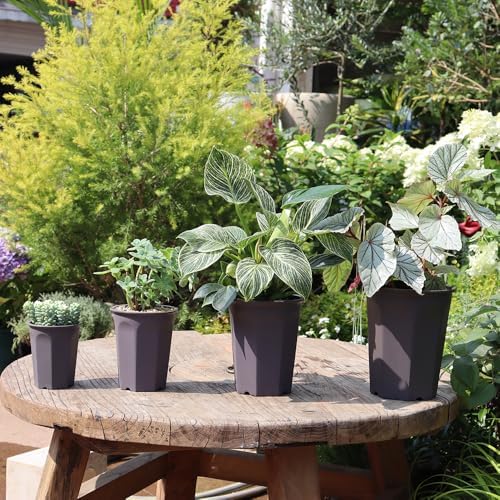 10 Pack 5.30 Inch Plastic Deep Nursery and Seedling Pots, Round Transplant Seed Starter Planter, Gray Color