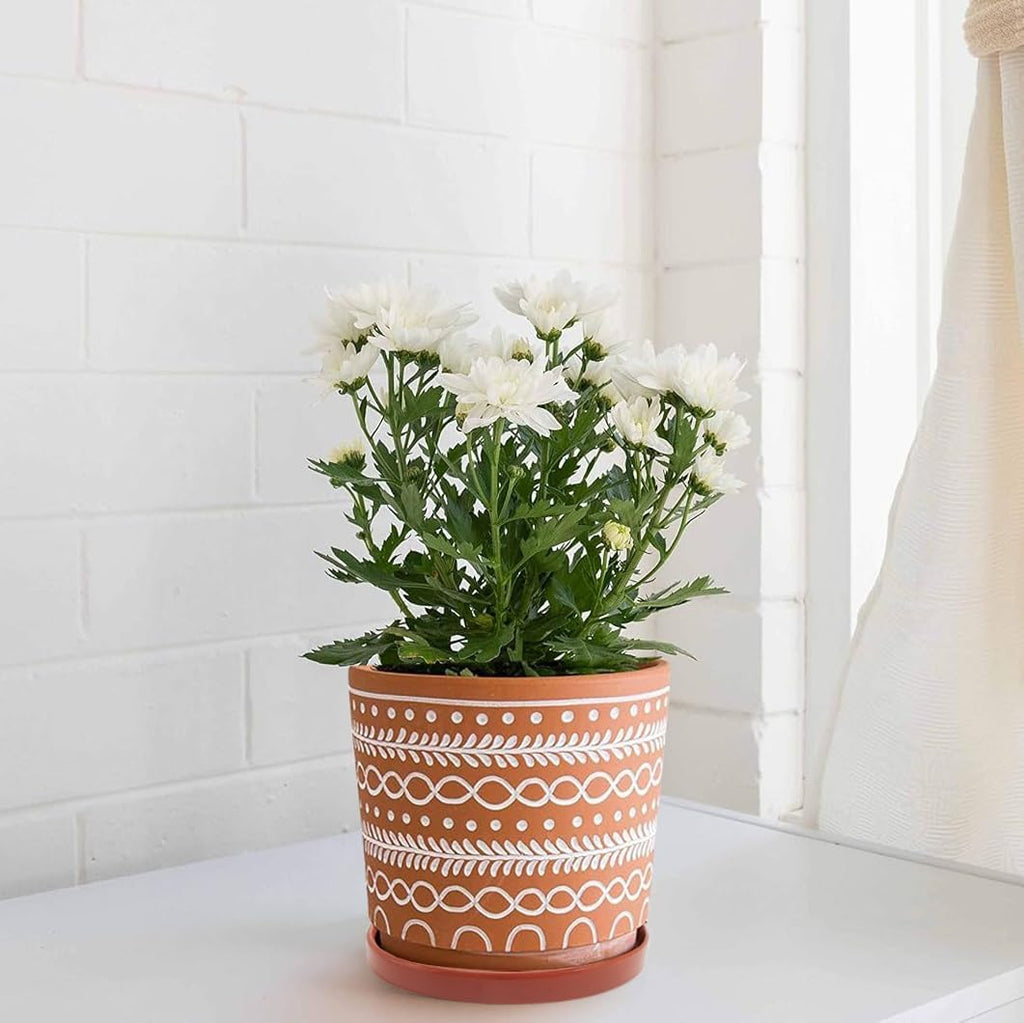 Yukfona Ceramic Plant Saucer Tray 2 Pcs 6.4 Inch Red Terracotta, 6.4"OD x6.02"ID x0.9"Deep| Fits flower pots Bottom≤