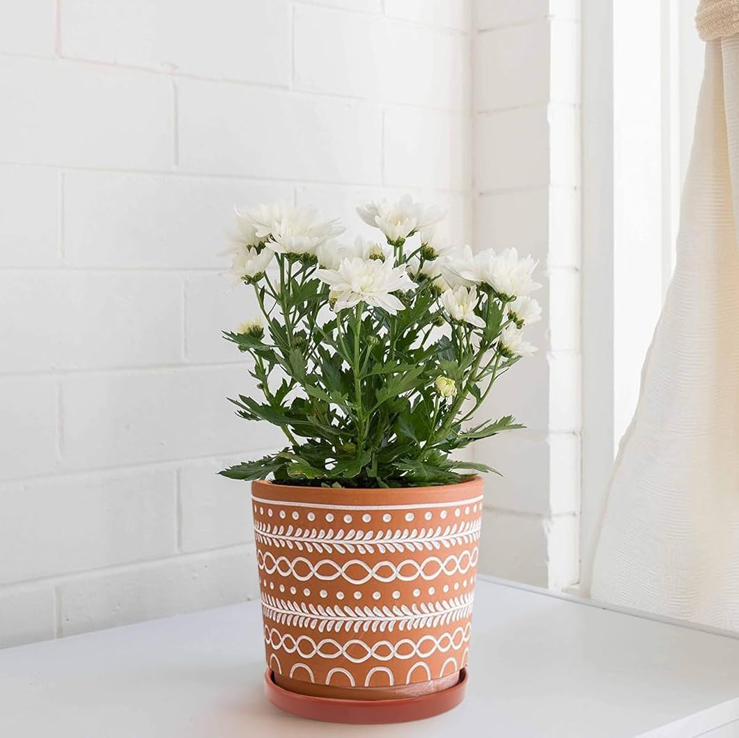 Yukfona Ceramic Plant Saucer Tray 2 Pcs 6.4 Inch Red Terracotta, 6.4"OD x6.02"ID x0.9"Deep| Fits flower pots Bottom≤