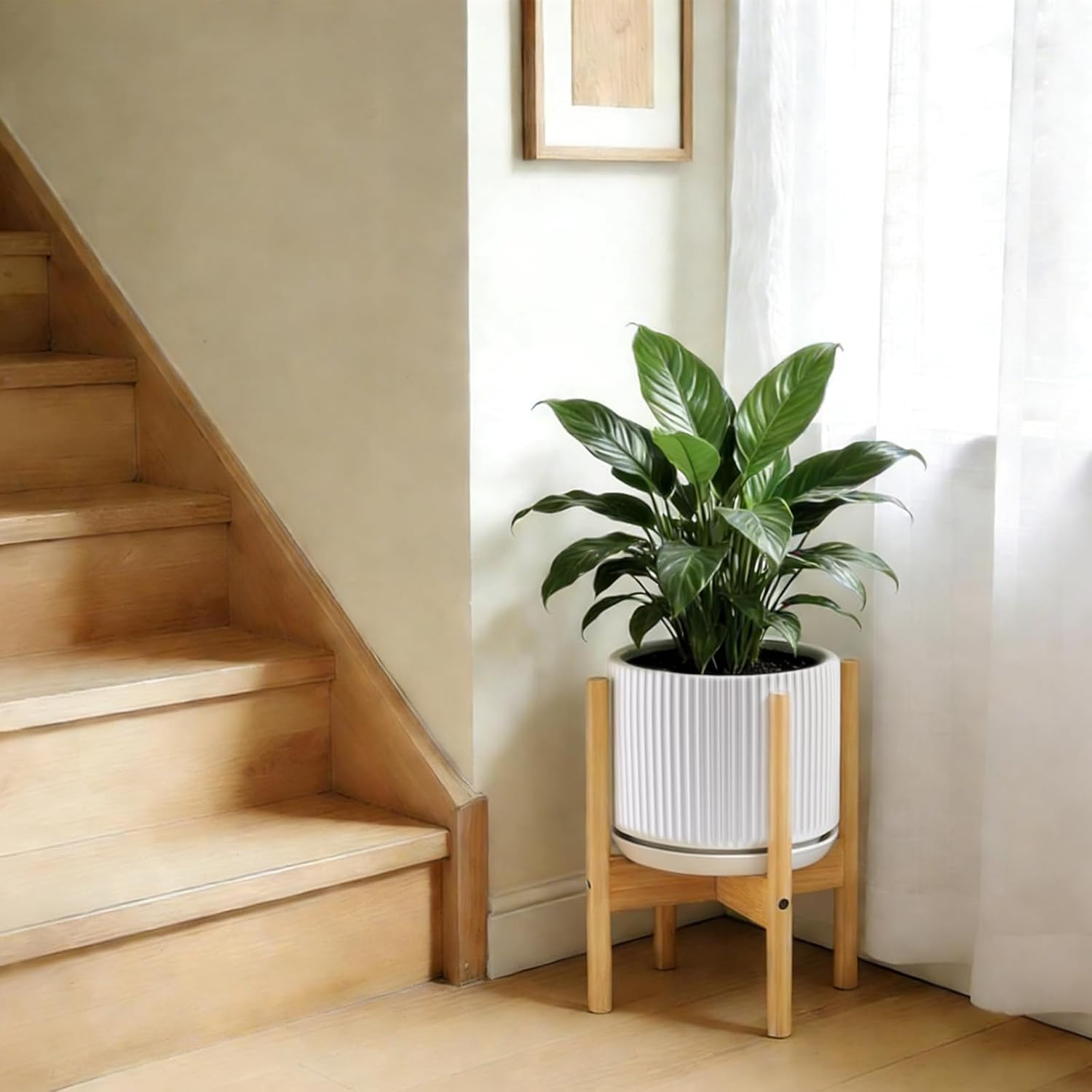 Ceramic-Flower-Pots-Sets-with-Saucer, 5/6/8 inch Small Planters for Indoor Plants with Drainage Hole, White Vertical