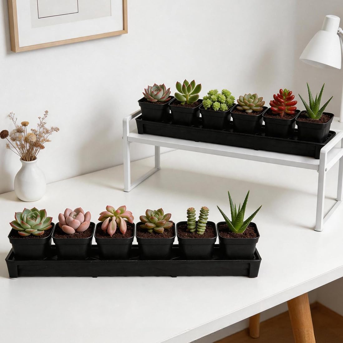 RooTrimmer 10 Pack Plastic Windowsill Saucer with 2.8 inch (7CM) Square Nursery Pots 60pcs, Rectangular Window Sill