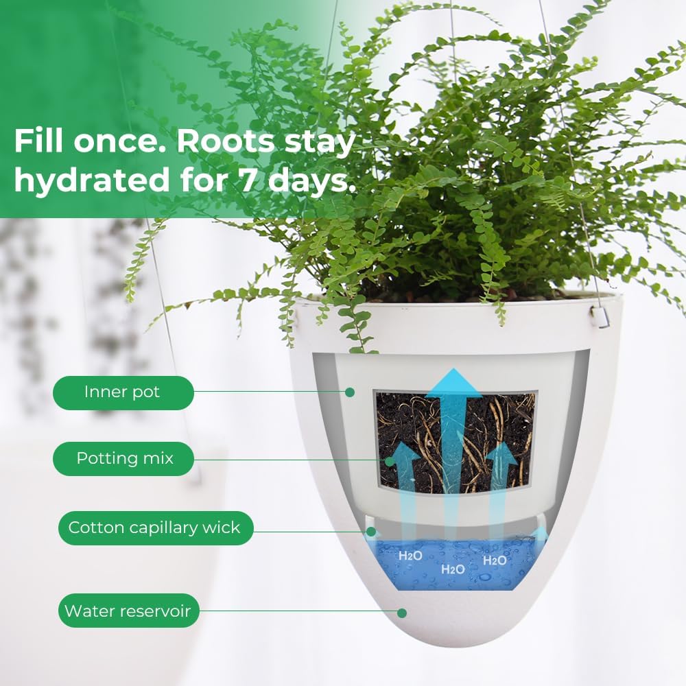 Self-Watering Hanging Planter Pot, Indoor Outdoor Plants, 6 Inch, 3 Pack | White | Stainless Steel Wire Hanger & Drip
