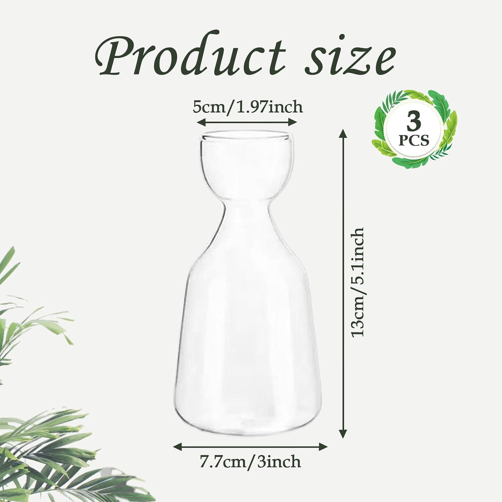 Glass Avocado Tree Growing Kit Seed Starter Flower Vases | 3 Pcs Acorn Plant Pot, Small Glassware Planter, Home Table