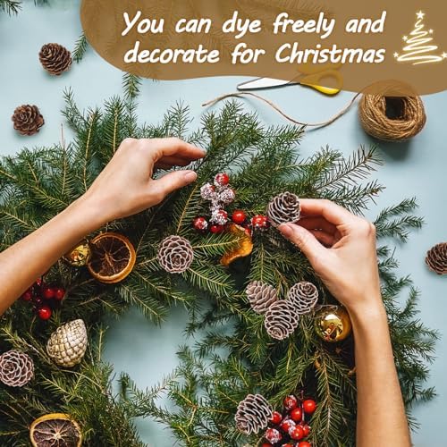 Apipi 1.2" Natural Small Pine Cones Fall Decor Christmas Ornaments, 40 Pcs