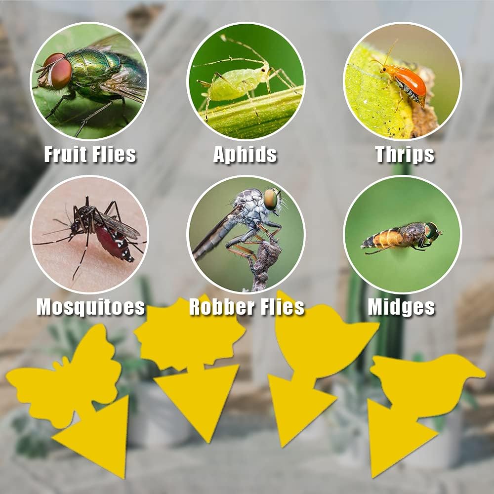 36 Pack Fungus Gnat Traps for House Plants, Yellow Sticky Traps for Indoor Outdoor Use to Get Rid of Whitefly