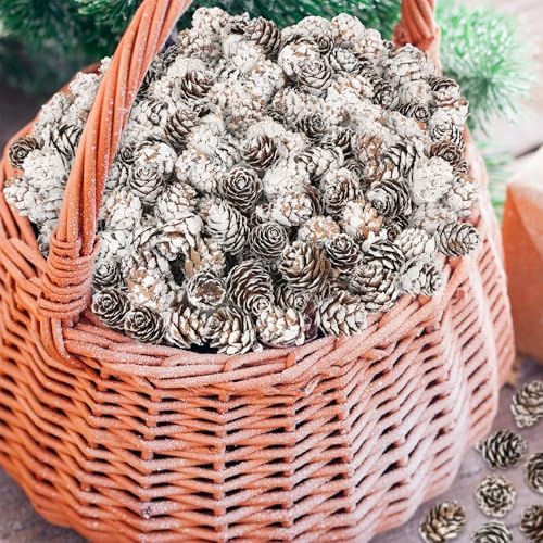 100 Pcs Snow Pine Cones, Mini Pinecones for Craft, Natural Cones Wreath, Christmas Bowl Stuff Winter Decorations Decor Accessories Party Suppliesfor Home Indoor Vase Filler