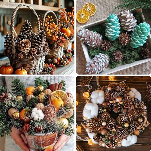 54 PCS Natural Pine Cones for Crafts Set Medium & Extra Large 1.2"-4"