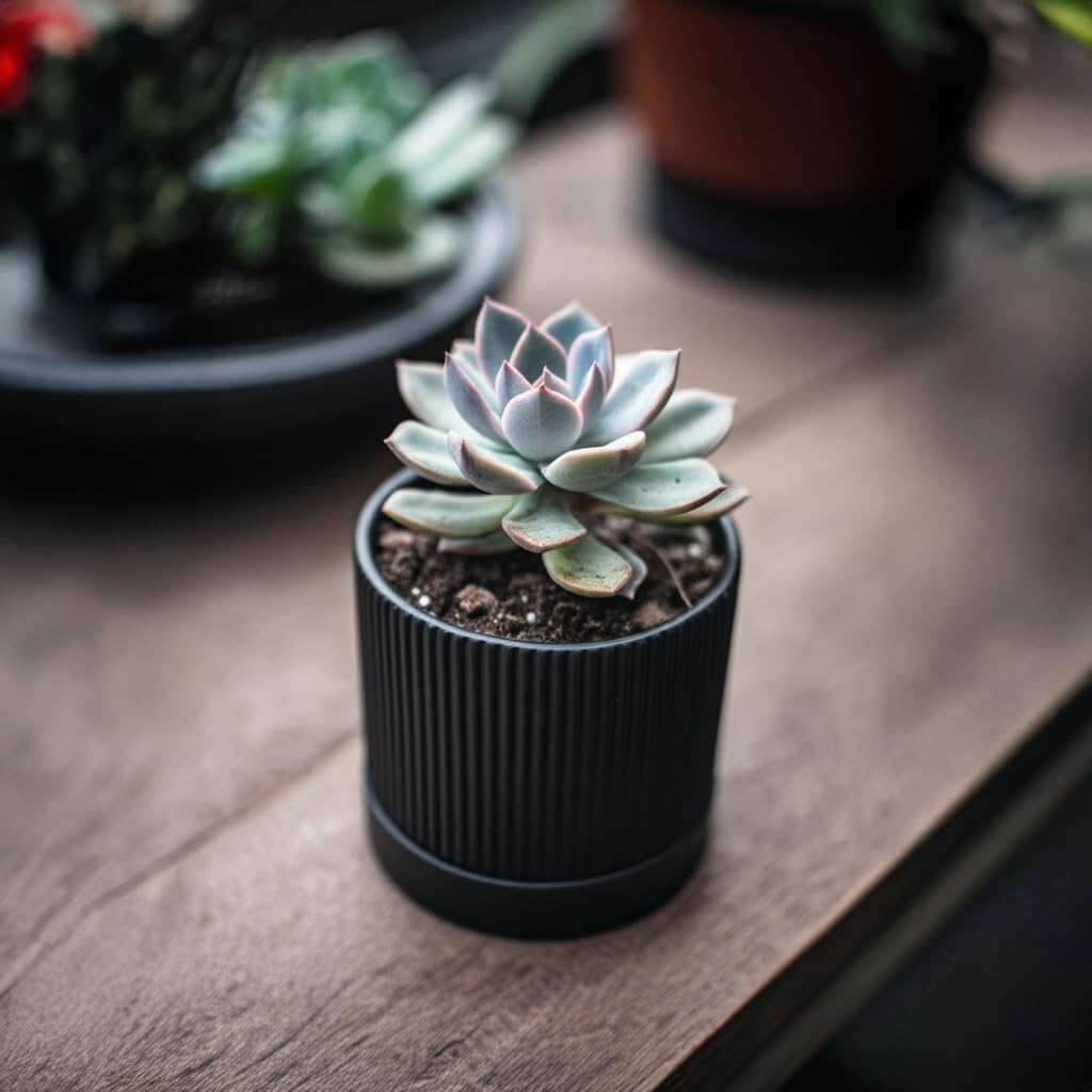 HERDUK Small Plant Pots, 4 Inch Pots for Indoor Plants, Modern Minimalist Ceramic Plant Pots with Drainage Hole &