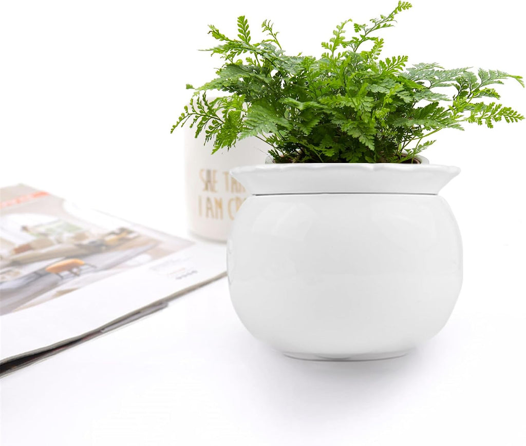 BUYMAX 6 Inch Self Watering Ceramic African Violet Pot Flower Pot Indoor | Absorbent Inner Pot Design | Automatic