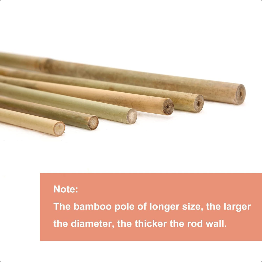 COLOtime Bamboo Stakes 58 Inch (Approx 5FT) Garden Stakes Plant Stakes for Outdoor Climbing Plants Poles Sticks Support