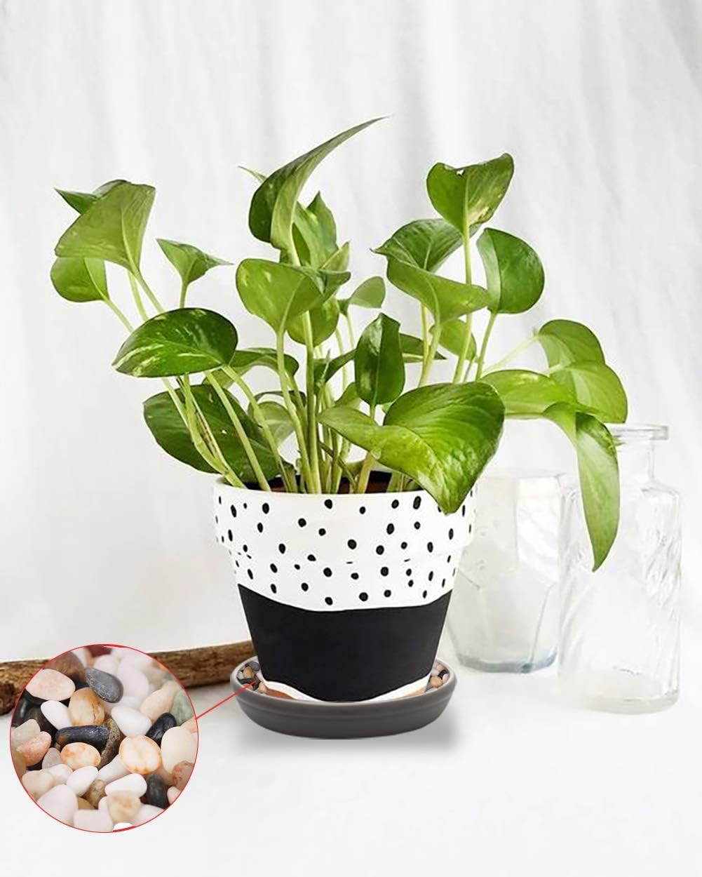 SAROSORA Round Plastic Plant Saucer Drip Tray Set of 6 for Indoor Outdoor Home Garden Flower Plant Container Flower Pot