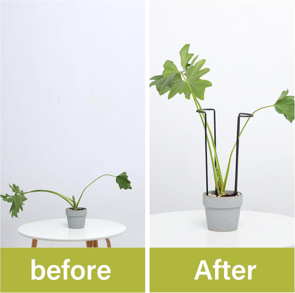 10Pcs Monstera Plant Support - 12" Durable Iron U-Shaped Trellis Stakes | Plant Support Structures & Stakes for Indoor
