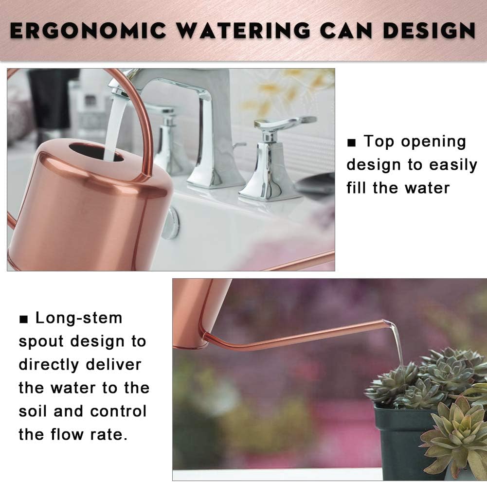 Remiawy Watering Can Indoor Outdoor Stainless Steel Watering Cans for House Plants Long Spout Water Can for Succulent