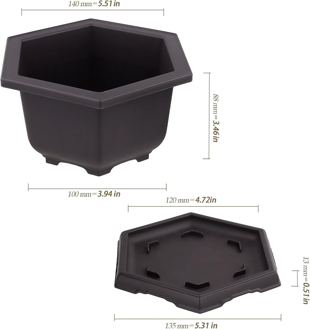 10 Pack 5.5 Inch Bonsai Pots, Hexagon Built in Mesh Plastic Bonsai Training Pots with Trays, Plant Flower Tree Growing