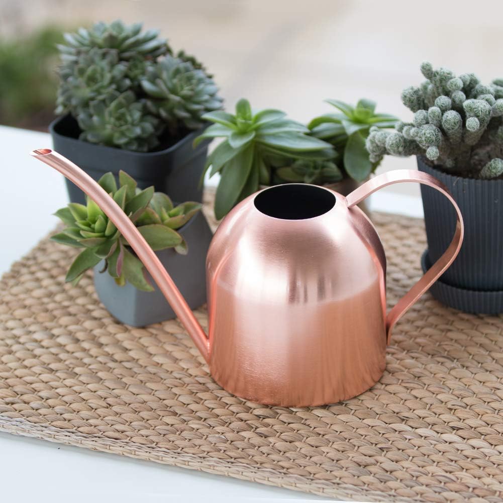 Rose Gold Watering Can for Indoor Plants, 450ml/15oz | Rose gold finish adds style while the long spout waters roots