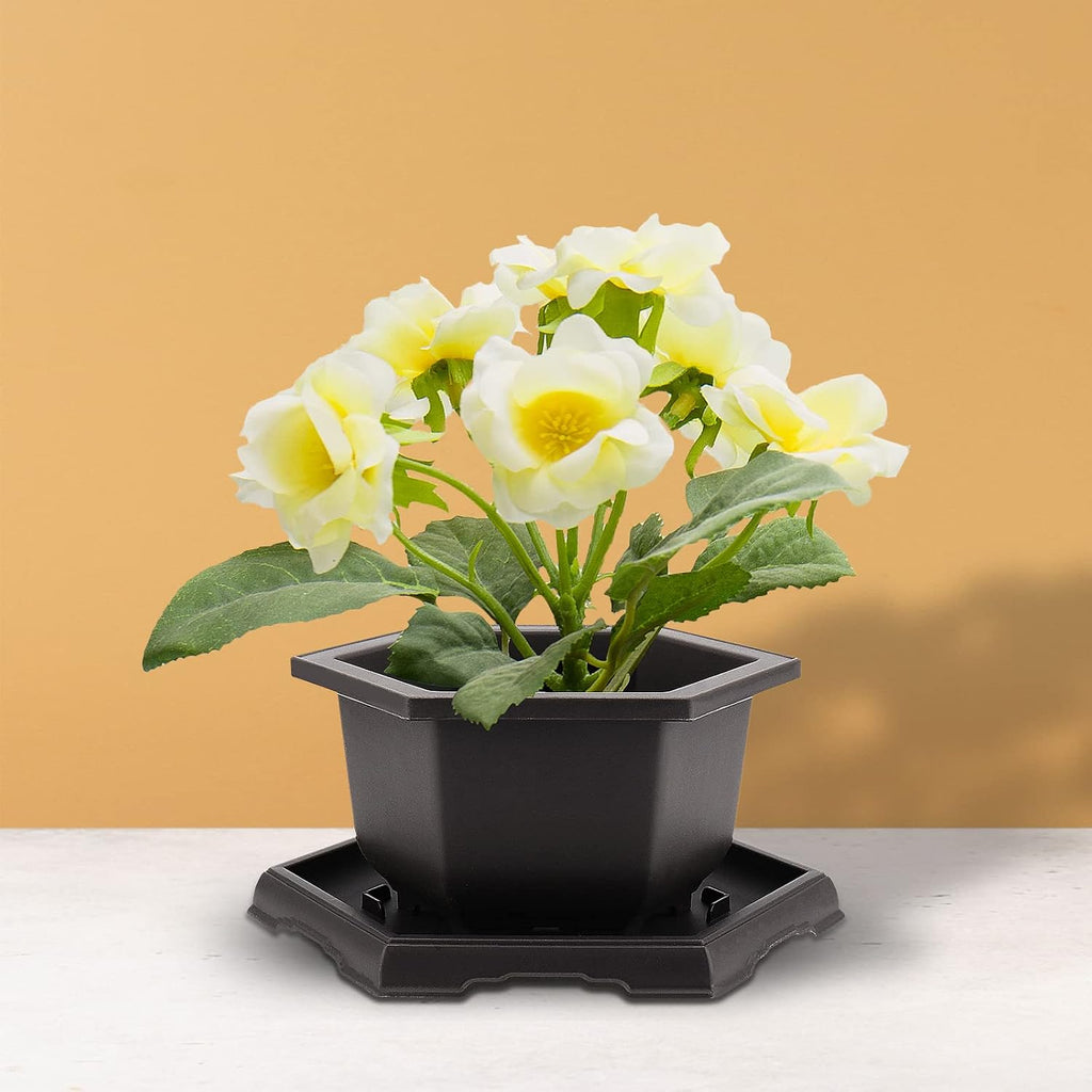 5 Pack Bonsai Pots, Hexagon Built in Mesh Plastic Bonsai Training Pots with Trays, Plant Flower Tree Growing Bonsai