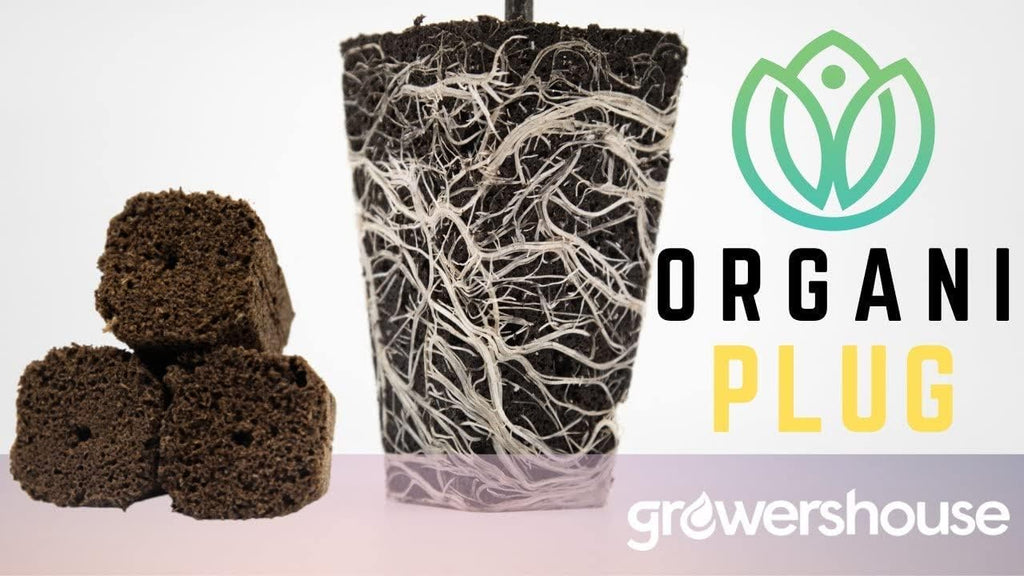 VPS OrganiPlug Hydroponic Seed Starter Plugs, 2000 Pack, Rapid Root Planting Pods for Seedling, Clone, Cutting