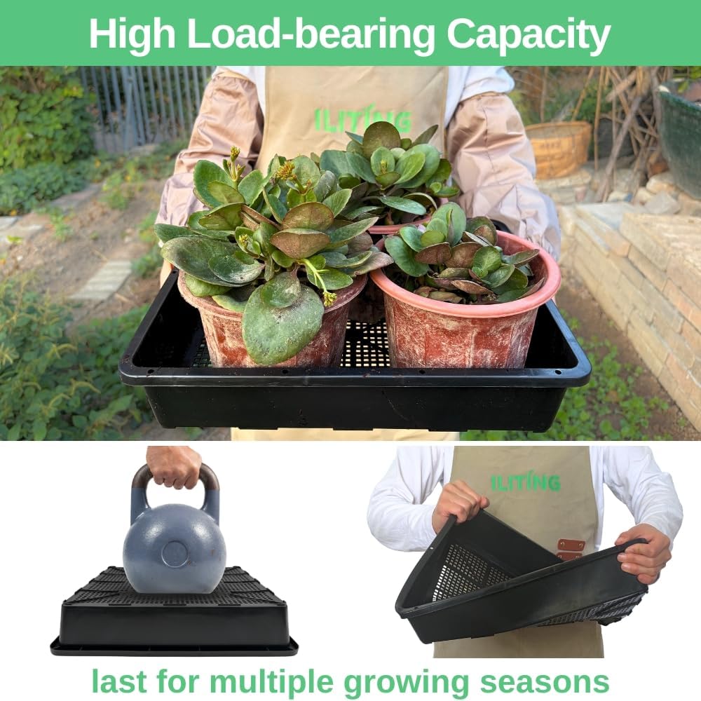 Soil Blocking Trays 15x12inch Mesh Tray 10 Pack Seed Starter Tray Mesh Bottom Trays for Soil Blocks, Seedling