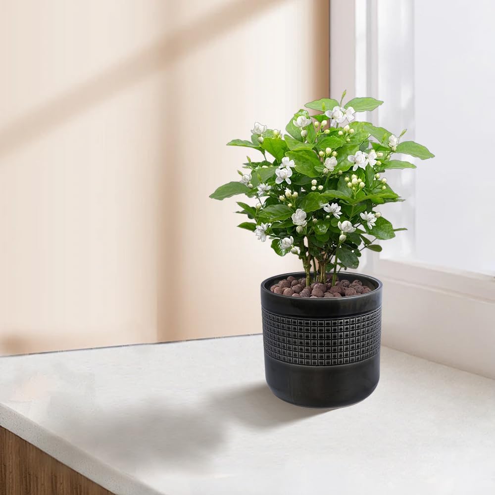 Ceramic Planter Set of 3, Graduated Size Indoor Flower Pots with Artisan Texture, Breathable Clay Plant Pots for