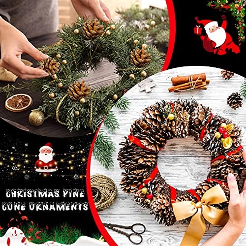 Syhood 24 Pcs Christmas Pine Cone Ornaments with String, White, Natural