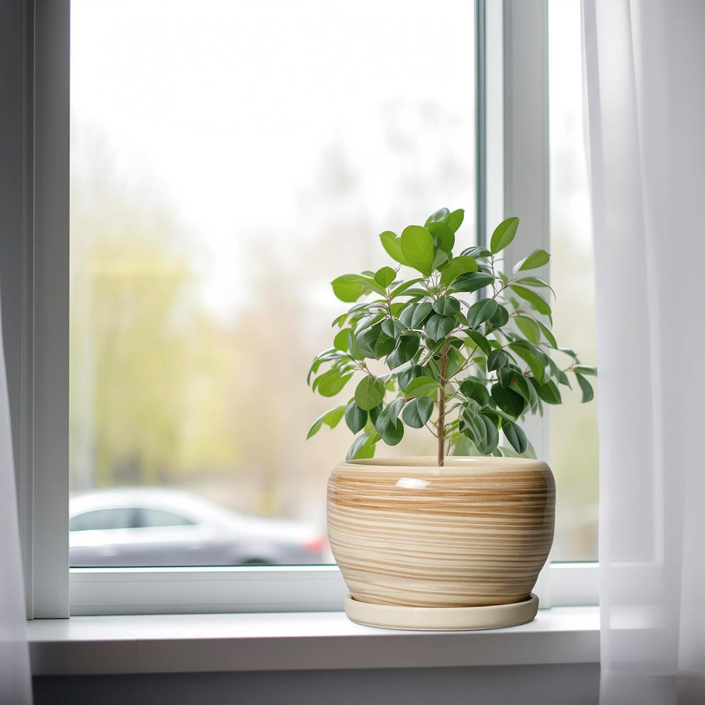 SQOWL Ceramic Planter- 8 Inch Plant Pot Indoor Outdoor, Round Planter with Drainage Hole and Plant Saucer, Decorative