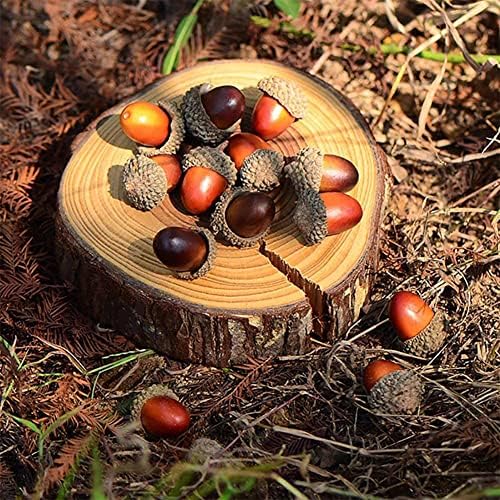 50 Pcs Artificial Small Acorn Fake Nutty Craft Acorns Autumn Vase Filler Decorations for Home