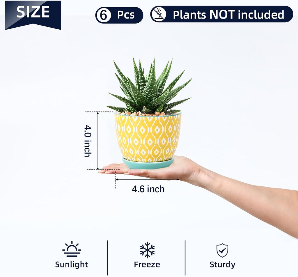 Selamica Ceramic Succulent Pots, 4.6 Inch Small Plant Pots with Drainage Holes & Saucers, Succulent Planters for Indoor