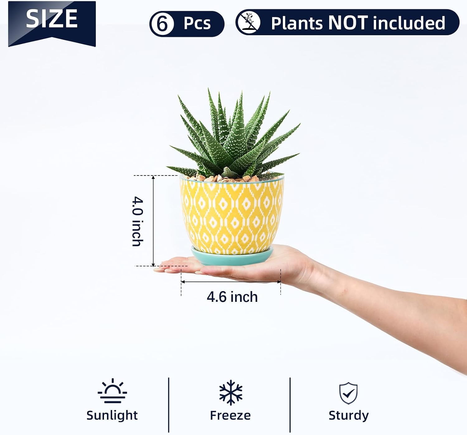 Selamica Ceramic Succulent Pots, 4.6 Inch Small Plant Pots with Drainage Holes & Saucers, Succulent Planters for Indoor