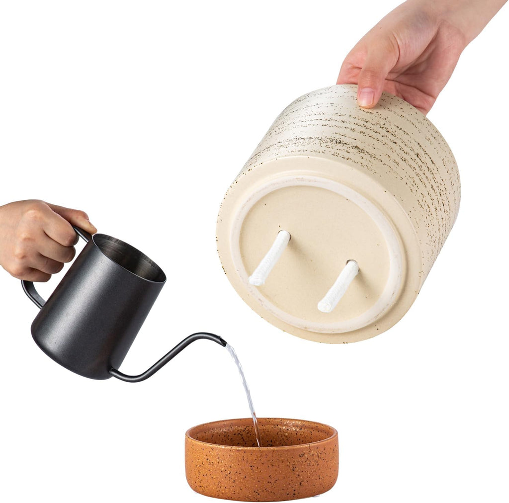 6 Inch Ceramic Self Watering Planter with Drainage Hole, Brush | Indoor Plant Pot with Water Storage Plus - for African
