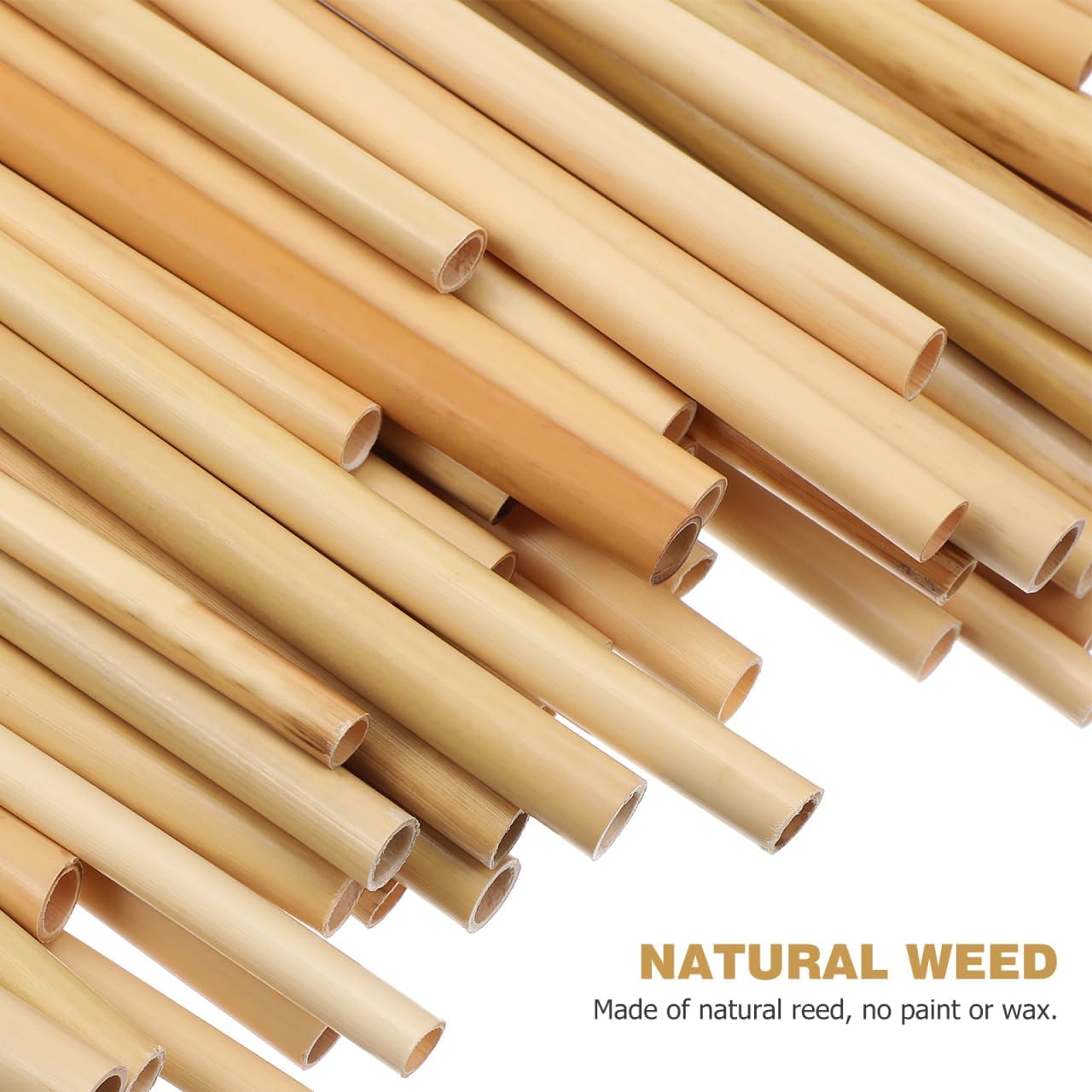 Mipcase Natural Reed Bee Tubes 200 Pack Bee House Tubes Refill Mason Tube Replacements for Pollination Breeding